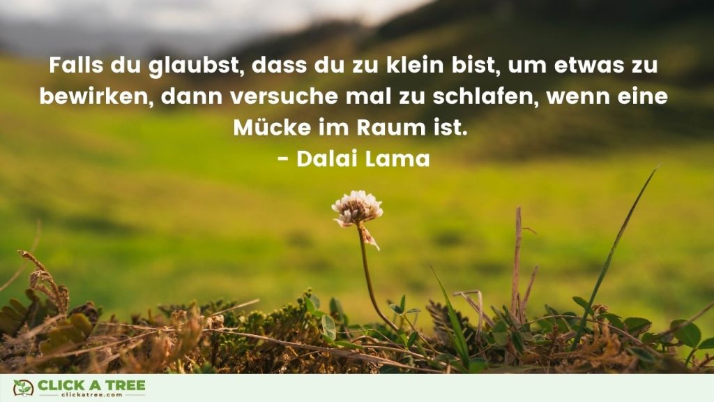 Falls du glaubst dass du zu klein bist um etwas zu bewirken dann versuche mal zu schlafen wenn eine Mücke im Raum ist. Dalai Lama. Erfolg Zitate. Click A Tree