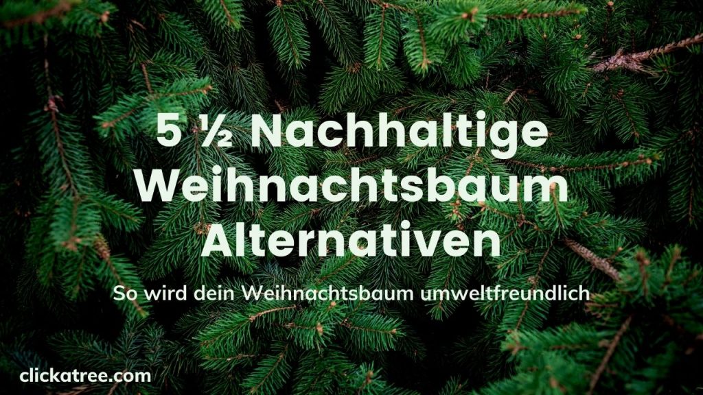 Nachhaltige Weihnachtsbaum Alternativen