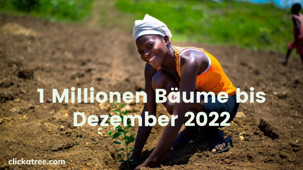 1 Millionen Bäume bis Dezember 2022 Hilf uns bei der Mission und bewerte uns