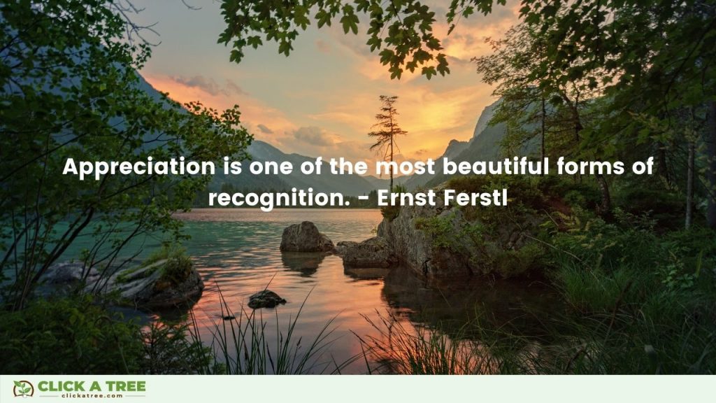 Appreciation is one of the most beautiful forms of recognition. Ernst Ferstl