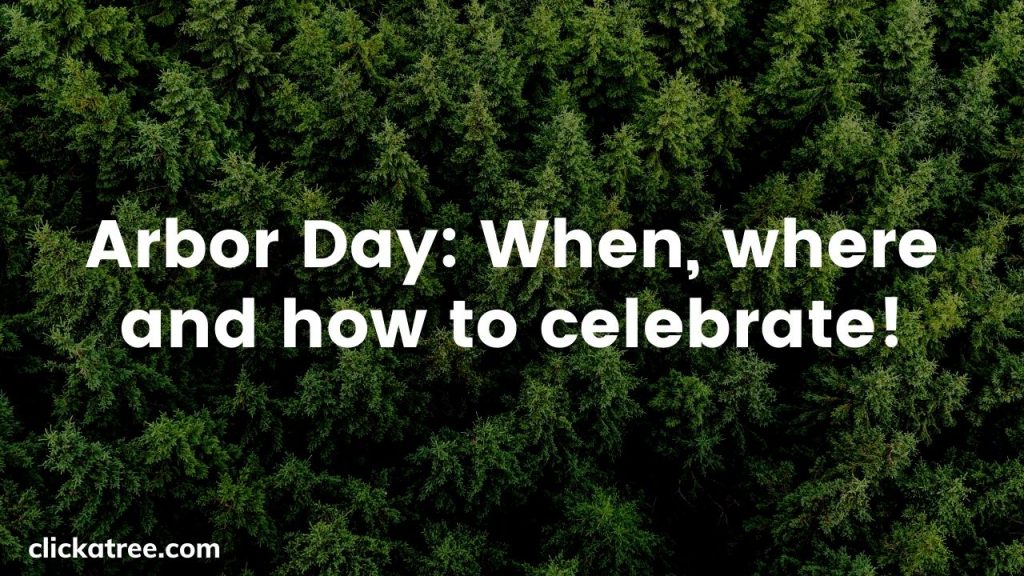 Celebrate Arbor Day Click A Tree style: When, where and how to celebrate.