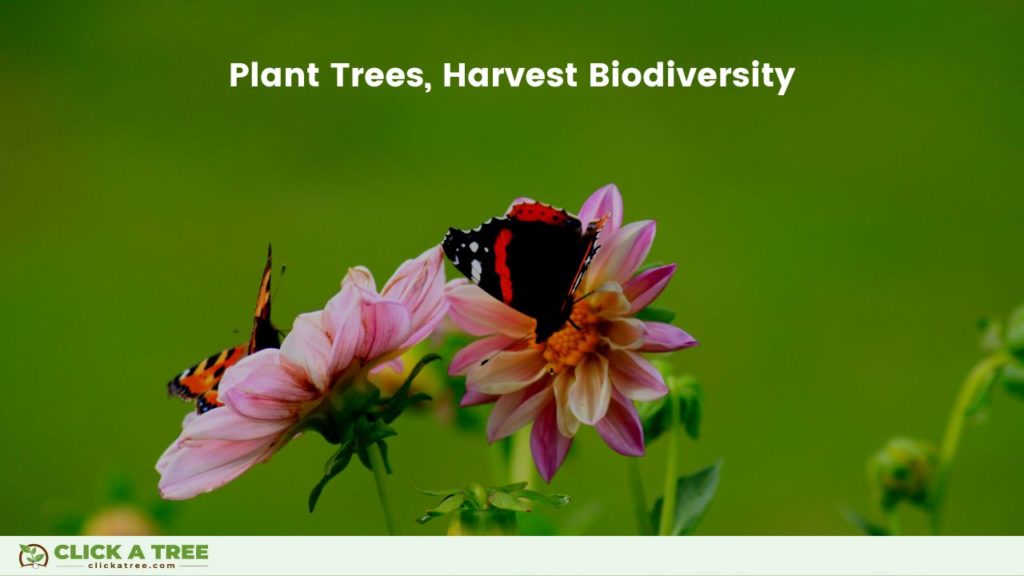 Plant trees, harvest biodiversity.