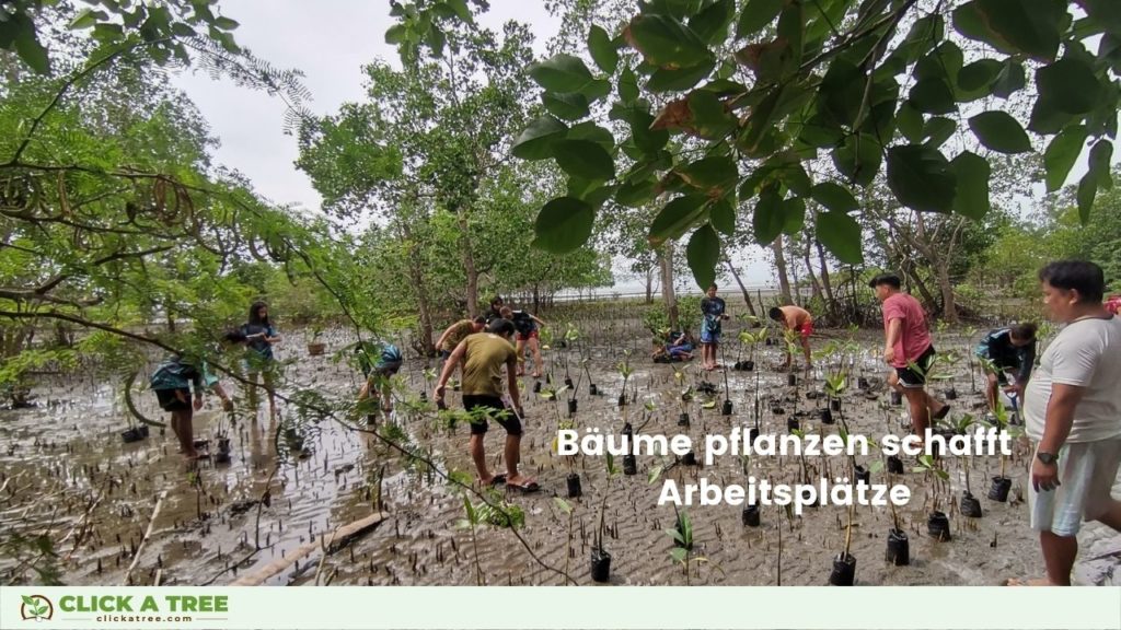 Holistische Aufforstung: Bäume pflanzen mit Click A Tree schafft Arbeitsplätze