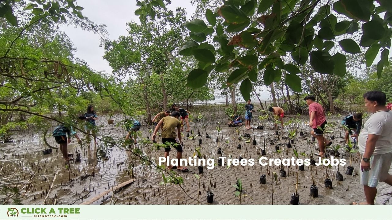 The holistical approach of planting trees with Click A Tree creates jobs.