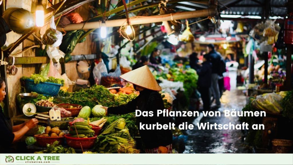 Holistische Aufforstung: Das Pflanzen von Bäumen kurbelt die Wirtschaft an