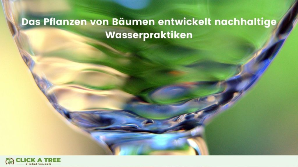 Holistische Aufforstung: Das Pflanzen von Bäumen mit Click A Tree entwickelt nachhaltige Wasserpraktiken