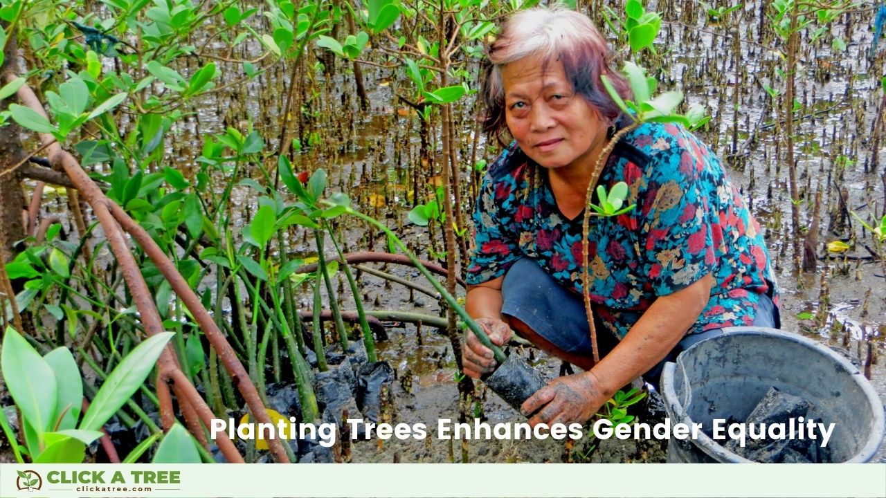 Benefits of planting trees: Planting trees enhances gender equality.