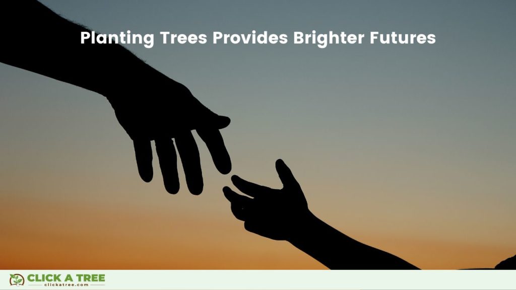 Planting Trees with Click A Tree provides brighter futures for new generations.