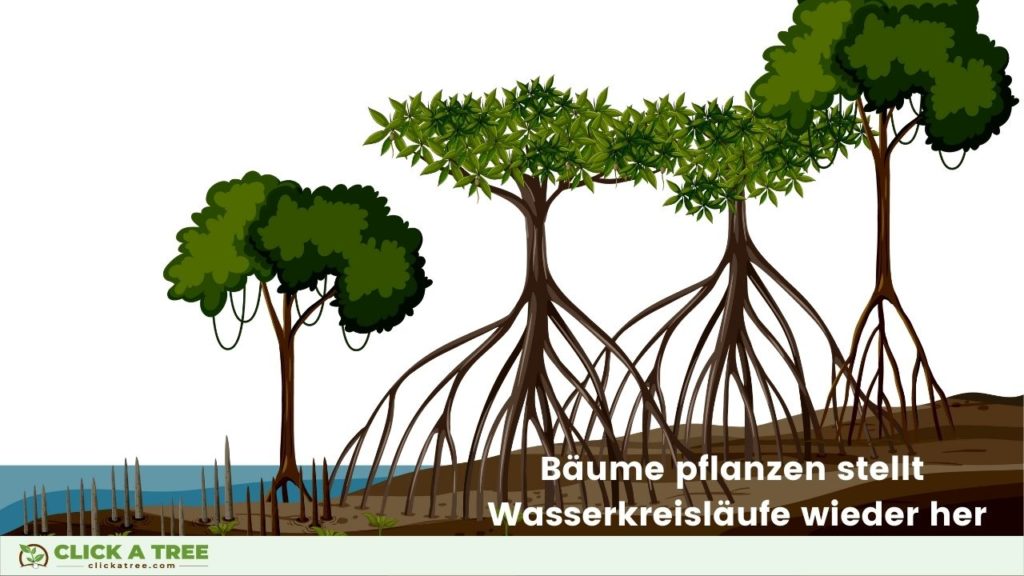 Holistische Aufforstung: Das Pflanzen von Bäumen mit Click A Tree stellt den Wasserkreislauf wieder her