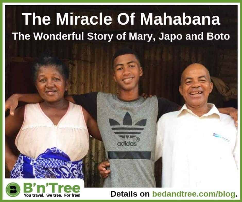 B'n'Tree Success Story The Miracle Of Mahabana The Wonderful Story of Japo, Boto and Mary on bedandtree