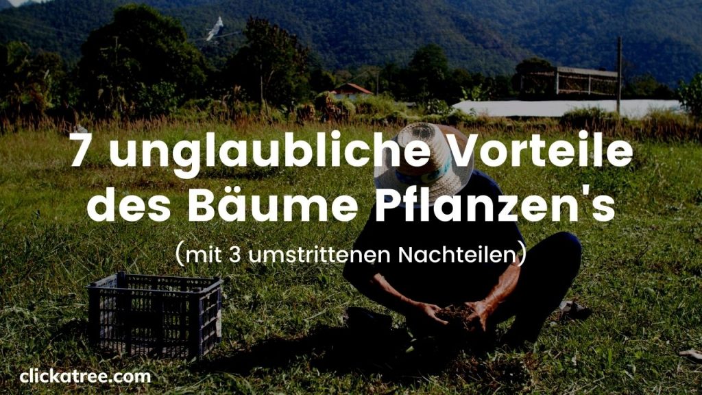 7 unglaubliche Vorteile des Bäume Pflanzen's von Click A Tree