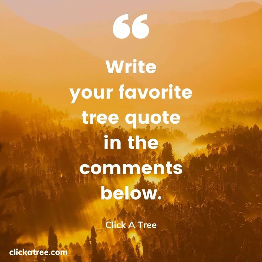 Click A Trees most Motivational and Inspirational Tree Quotes about Life Business and Love 020