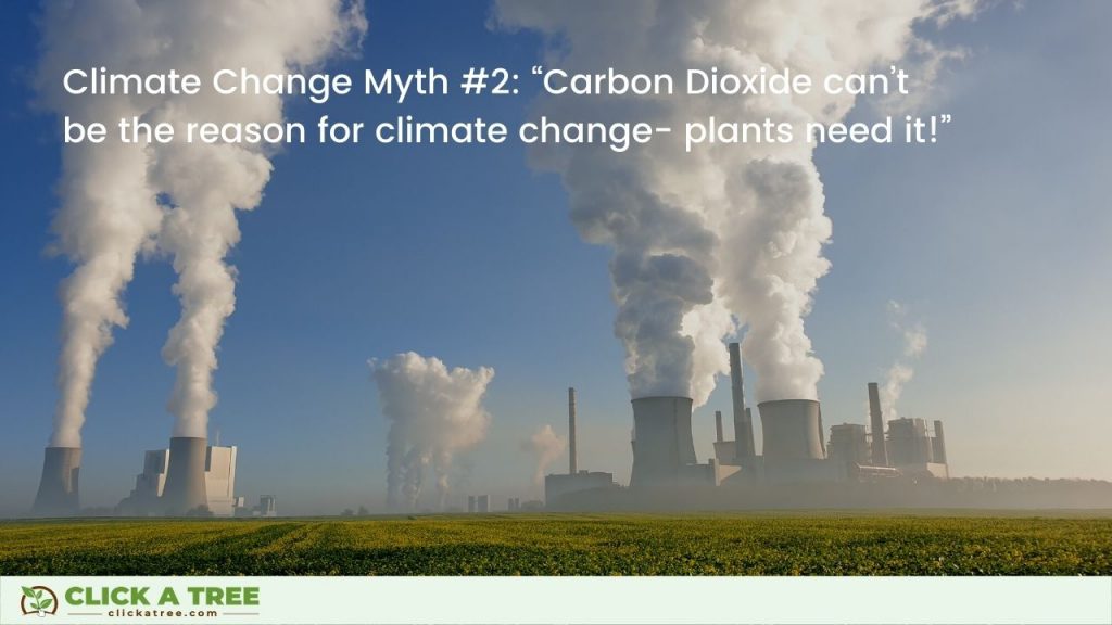 Myth #2: “Carbon Dioxide can’t be the reason for climate change- plants need it!”