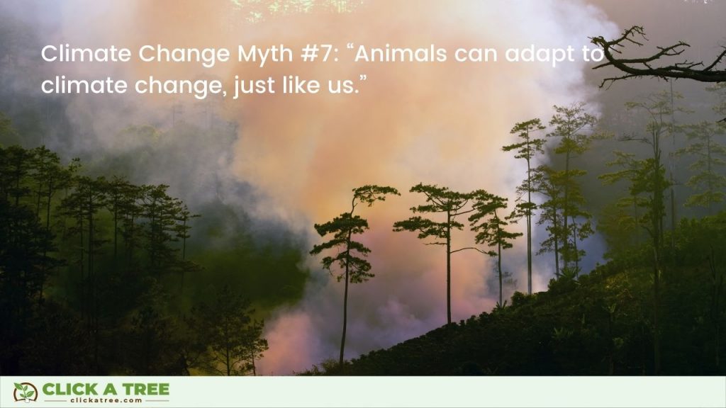 Climate Change Myth #7: “Animals can adapt to climate change, just like us.”
