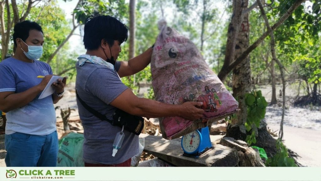 Click A Tree entfernt Plastikmüll aus dem Meer