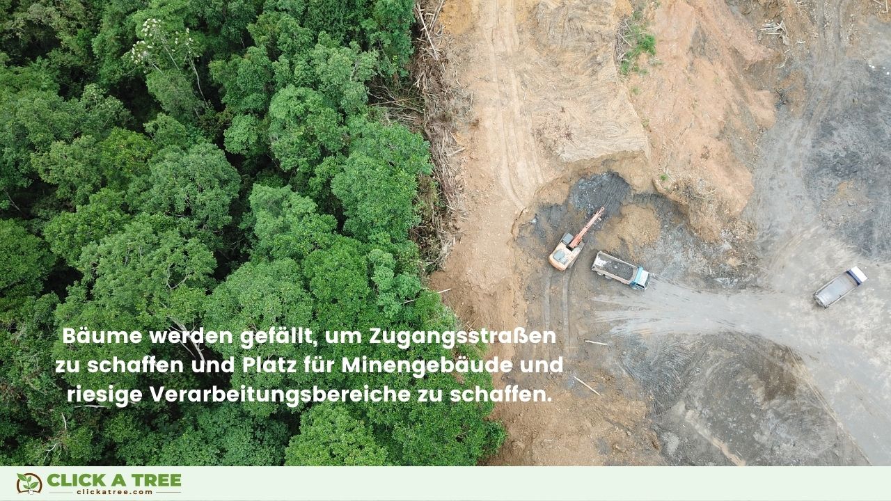 Gründe für Entwaldung: Bergbau