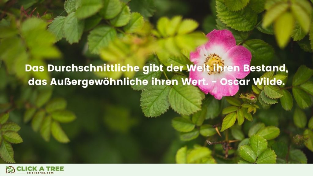 Das Durchschnittliche gibt der Welt ihren Bestand das Ausergewöhnliche ihren Wert. Oscare Wilde. Click A Tree