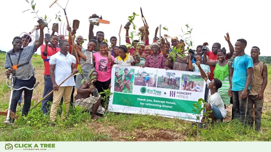 B'n'Tree und Click A Tree's Pflanzprojekt in Ghana