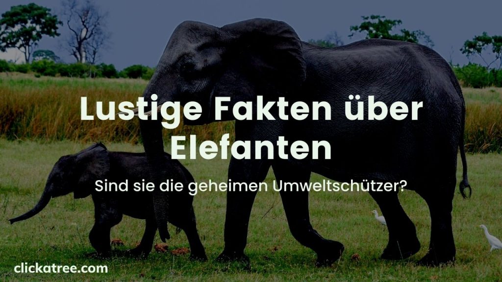 Lustige Fakten über Elefanten - Ein Artikel von Click A Tree