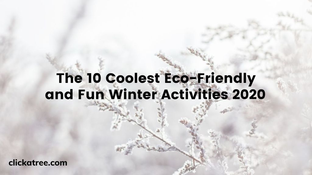 Eco Friendly Winter Activities 2020 Click A Tree