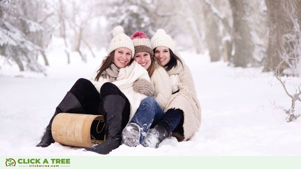 Eco Friendly Winter Activities 2020 Click A Tree