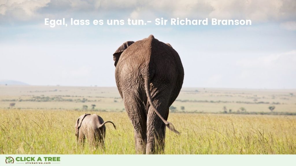 Egal lass es uns tun. Sir Richard Branson Erfolg Zitate. Click A Tree