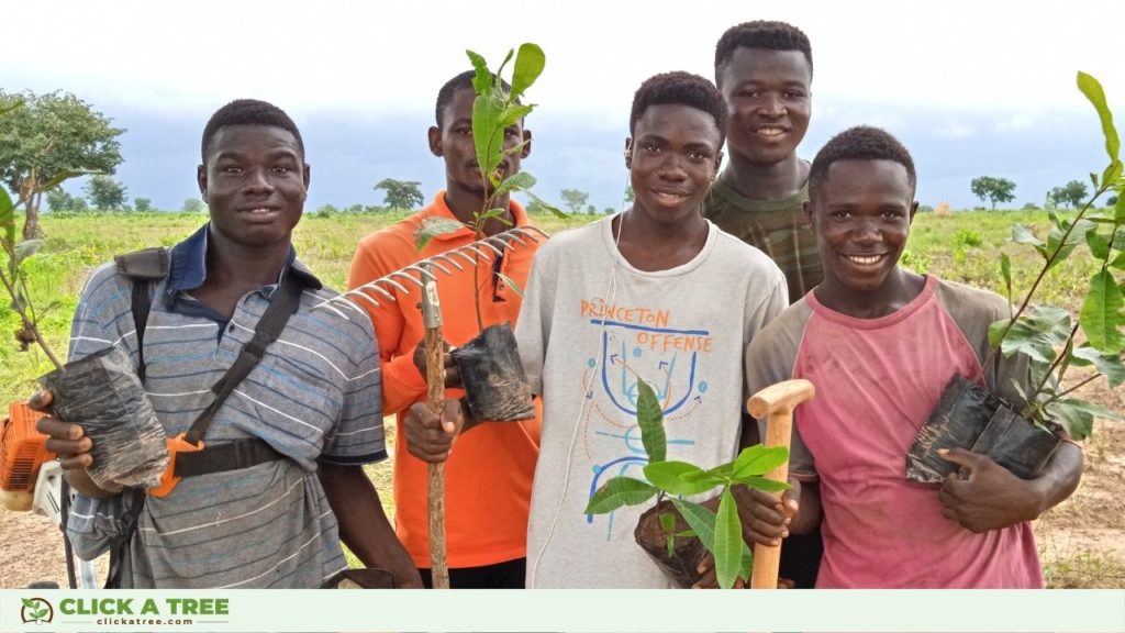 Click A Tree's Aufforstungsprojekt in Ghana