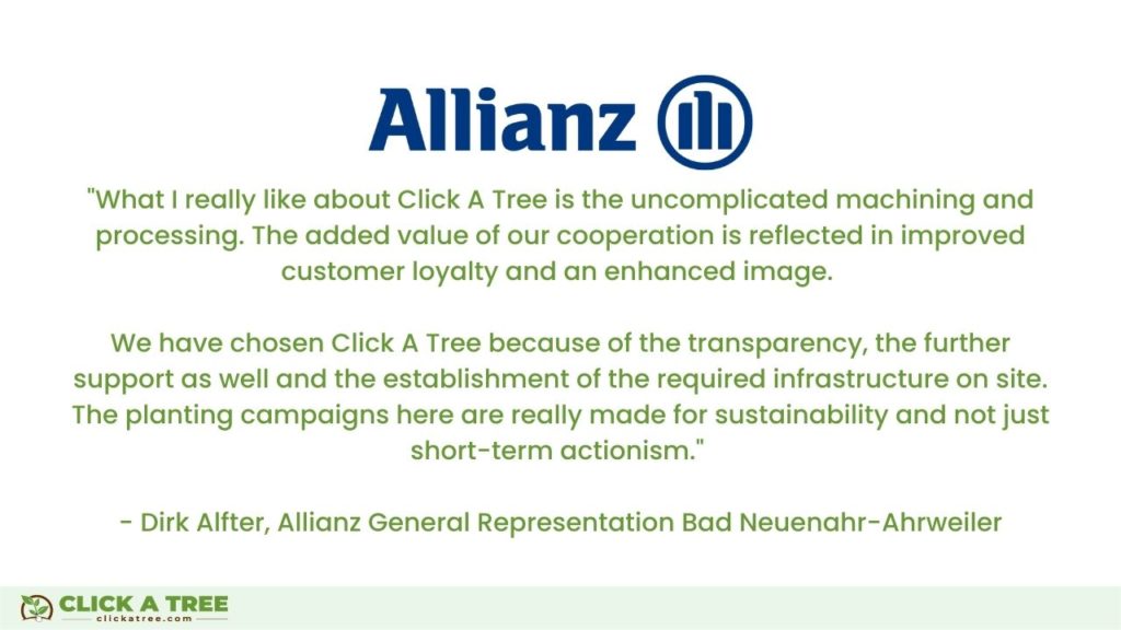 Why Allianz chose Click A Tree as their partner for their corporate social responsibility strategy.