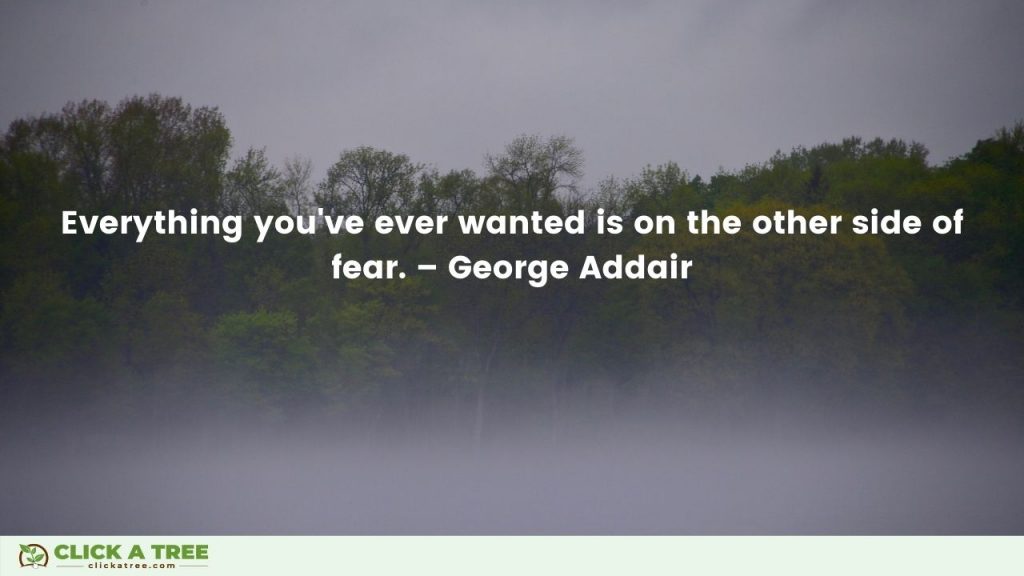 Everything youve ever wanted is on the other side of fear. George Addair Quote