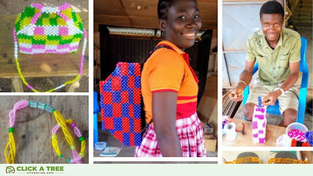 Success Stories from Click A Tree's entrepreneur school in Ghana.