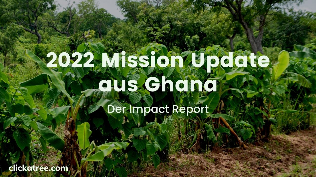 2022 Mission Update aus Ghana - Click A Tree's Impact Report