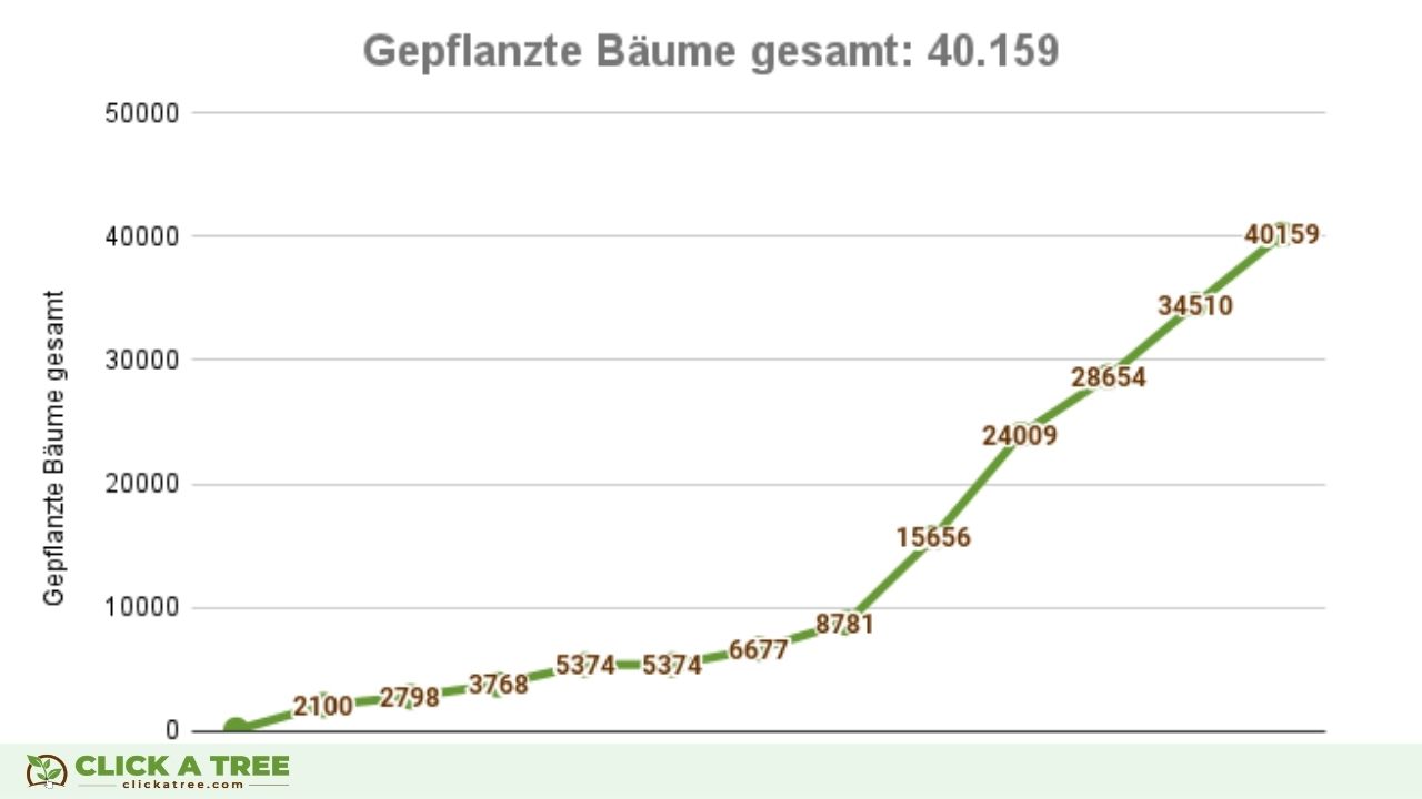 Bisherige Projekterfolge von Click A Tree in Ghana: Über 40.000 gepflanzte Bäume