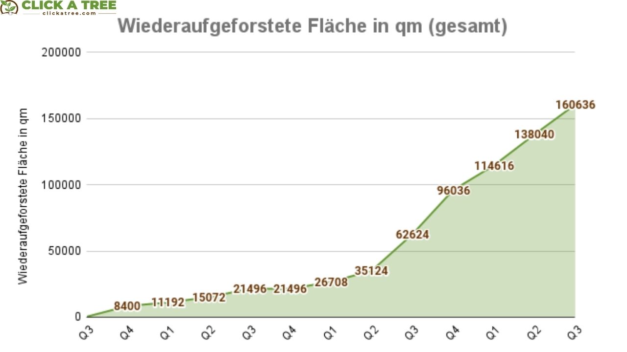 Click A Tree's bisherige Projekterfolge: Wiederaufgeforstete Fläche