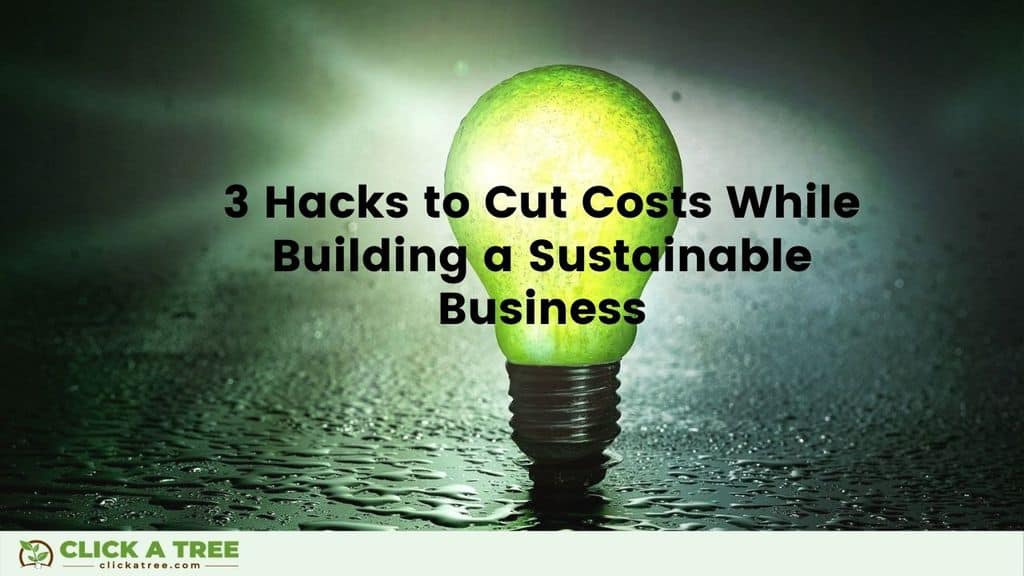 Green Business Guide Sustainability Hacks