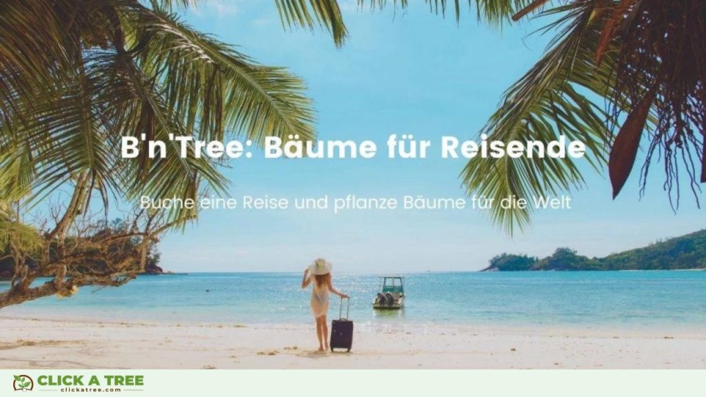 Pflanze Bäume beim Reisen mit B'n'Tree