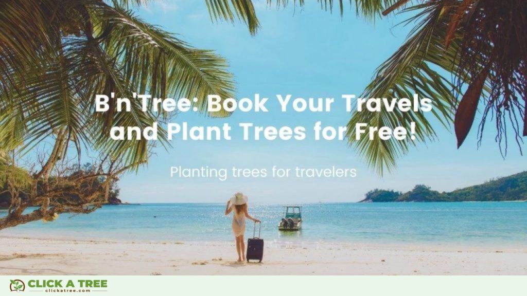 Plant trees when you travel with B'n'Tree