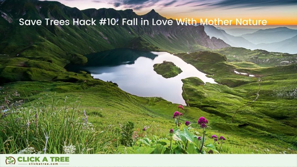 Save Trees Hack #10: Fall in love with mother earth