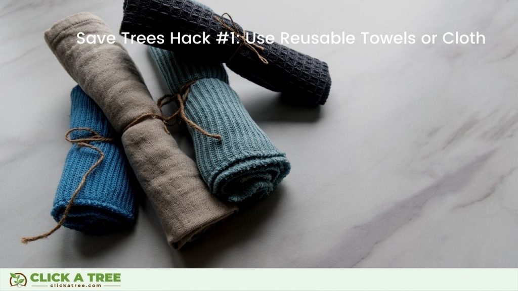 Save Trees Hack 1: Use Towel or Kitchen Cloth