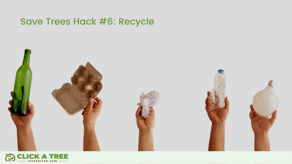 Save Trees Hack #6: Recycle
