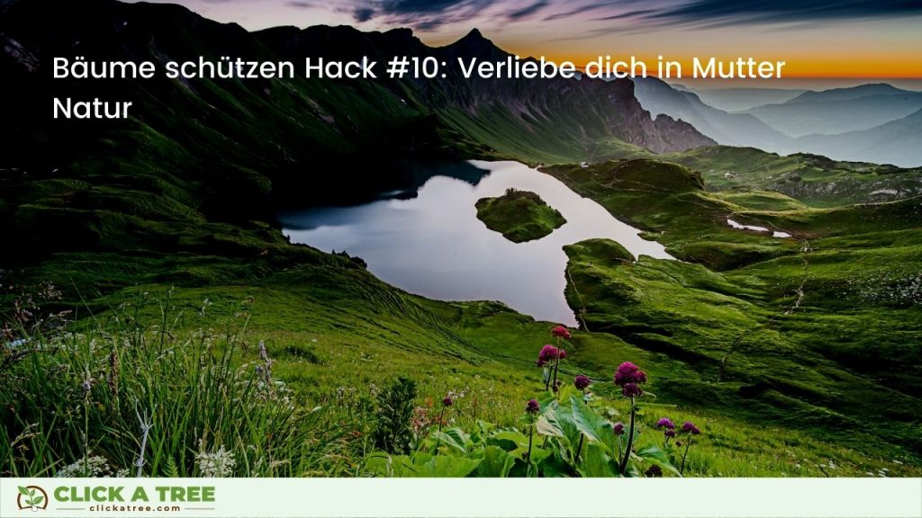 Bäume schützen Hack #10: Verliebe dich in Mutter Natur