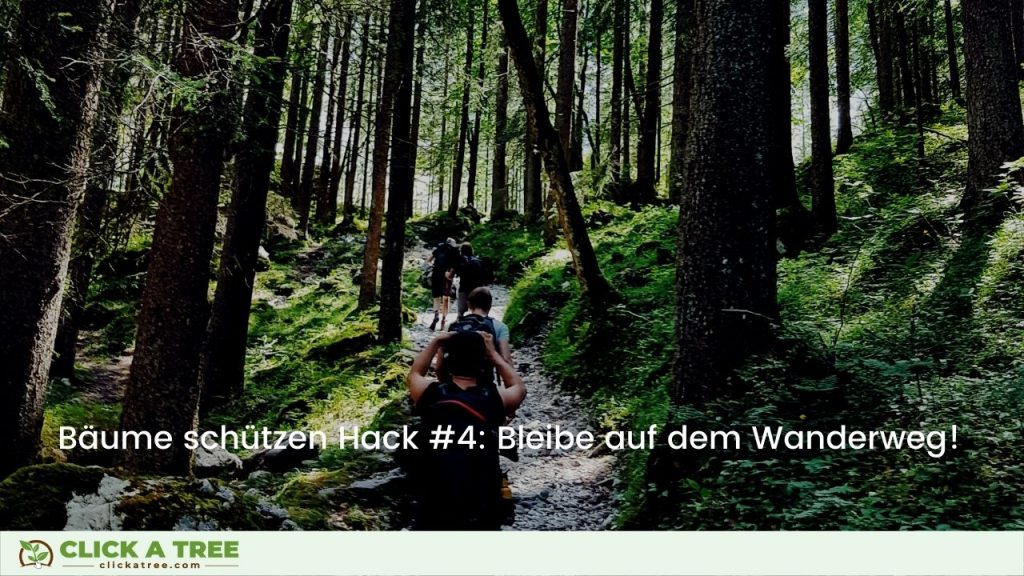 Bäume schützen Hack #4: Pass auf, wo du hintrittst!