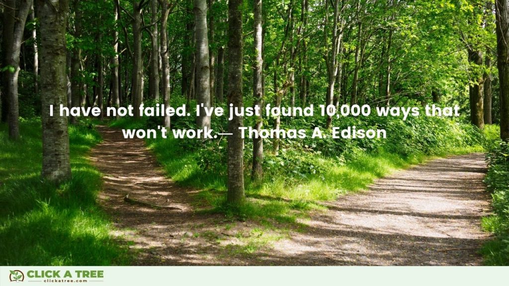 I have not failed. Ive just found 10000 ways that wont work. Thomas A. Edison Quote