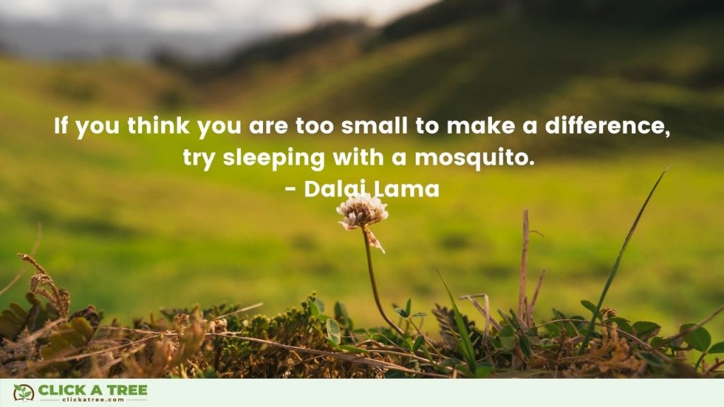 If you think you are too small to make a difference try sleeping with a mosquito. Dalai Lama Quote