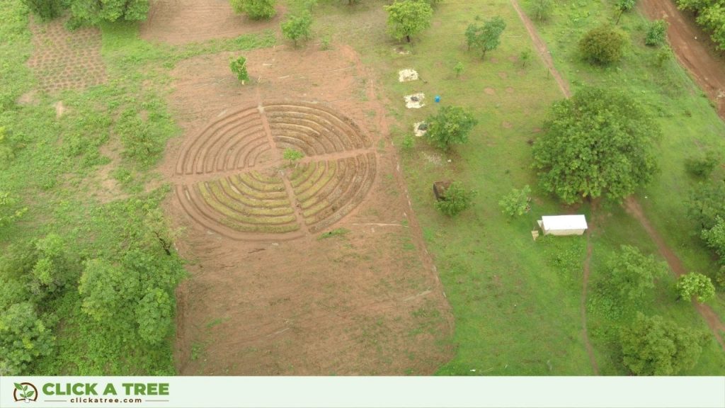 Der Mandala Garten von oben 