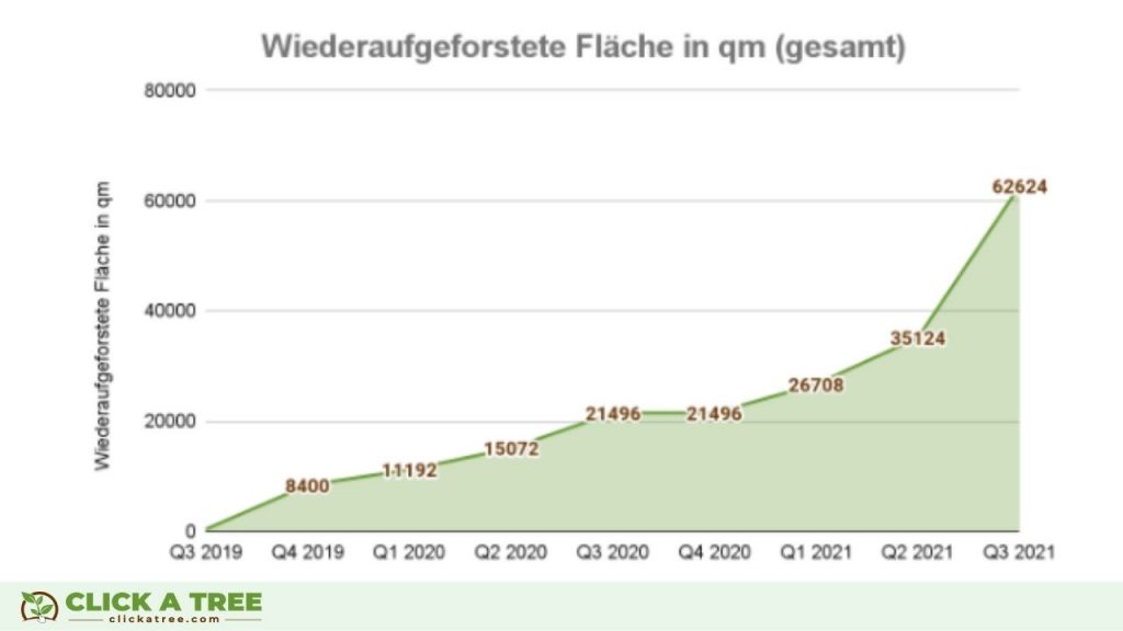 Wiederaufgeforstete Fläche unseres Aufforstungsprojektes in Ghana