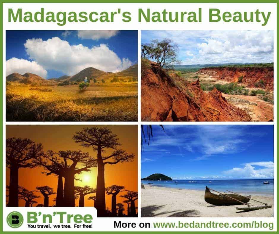 Madagascar's Natural Beauty for B'n'Tree Reforesting Madagascar for free Why How and Where bedandtree plants trees in Madagascar