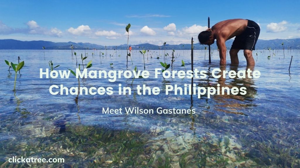 Mangrove Month Philippines1 1