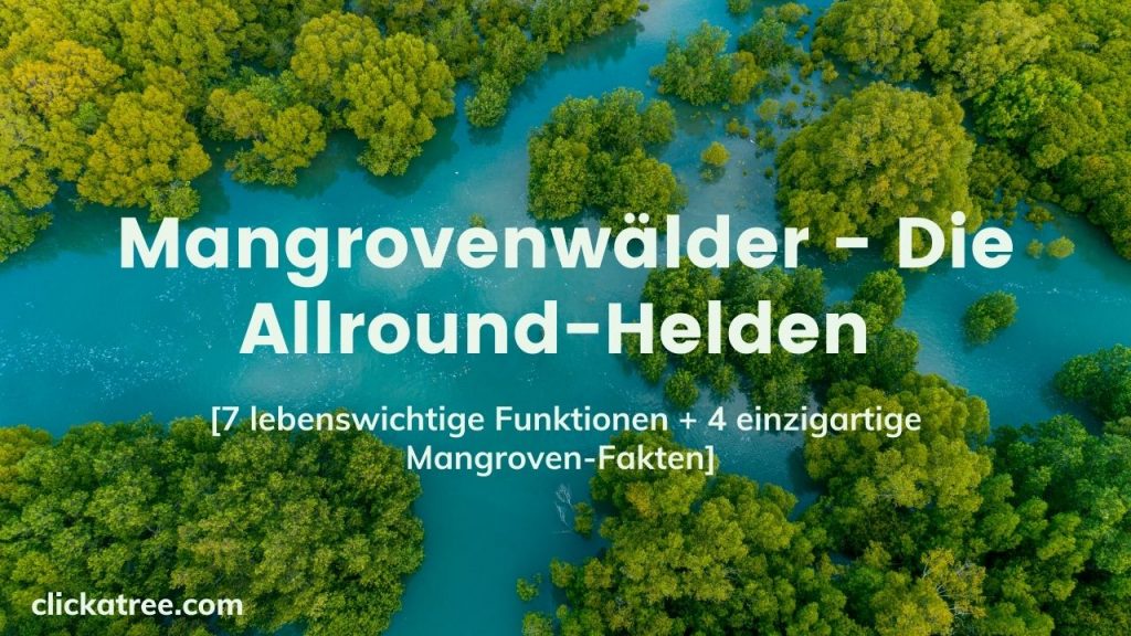 Mangrovenwalder Philippinen