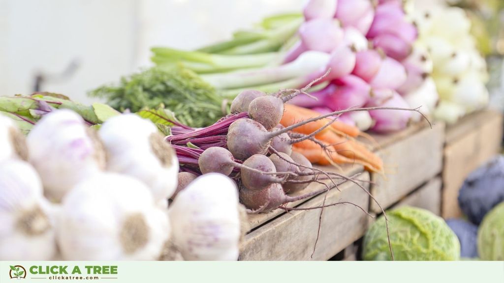 Fresh food, various vegetables.