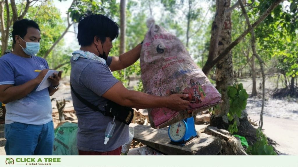 Mit Click A Tree's Projekt Trees for The Seas in den Philippinen entfernst du pro gepflanztem Baum 1 kg Plastik aus dem Meer.